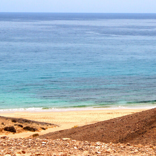 playa caleta del congrio