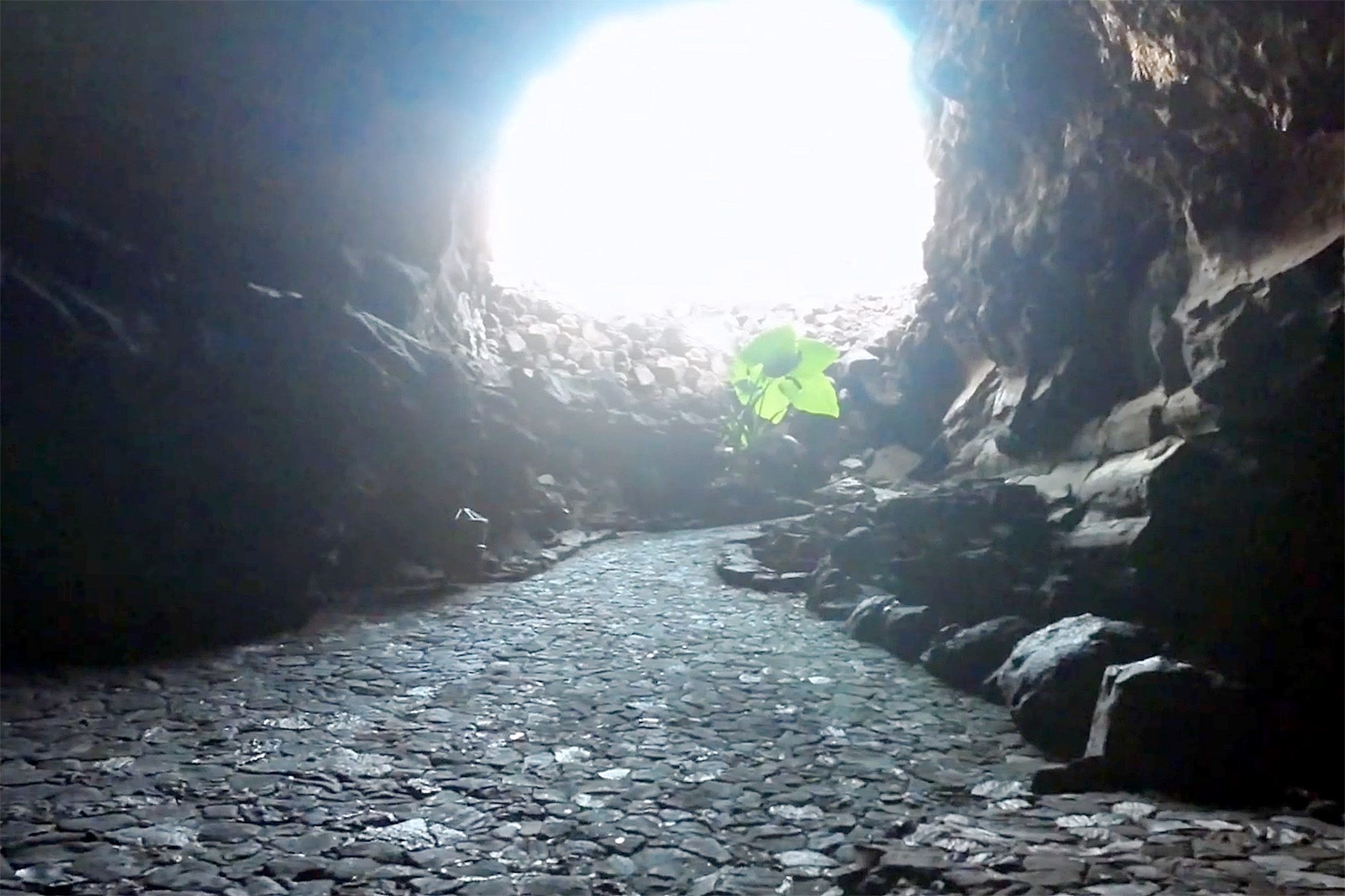 Cueva de los Verdes cave exit